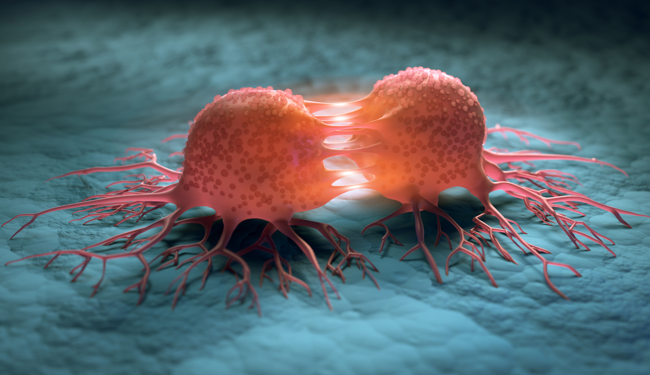 Article image for Ovarian and prostate cancer developments give ‘hope for the future’