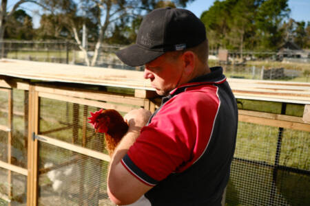 The Sanctuary changing children’s and animal’s lives