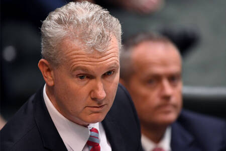 ‘Every business needs customers’: Tony Burke defends minimum wage rise