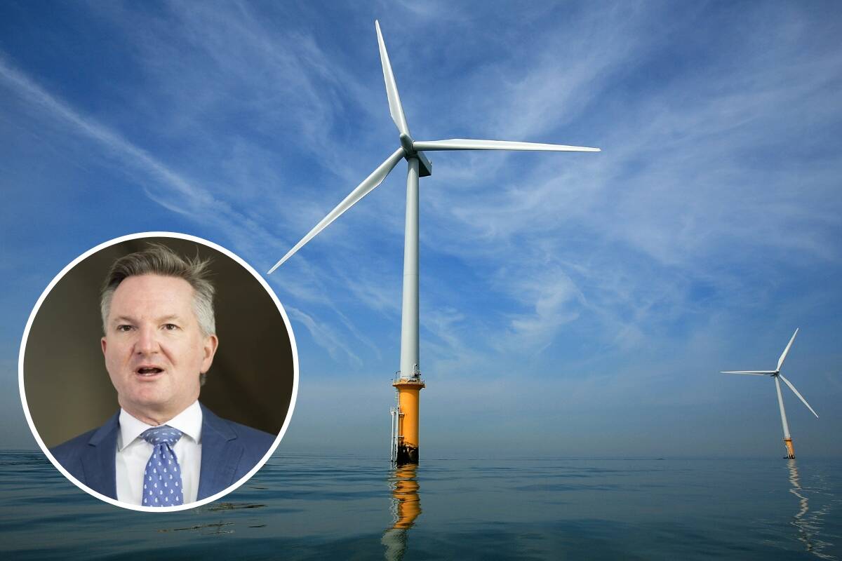 Article image for ‘500% increase’ – Chris Bowen’s net zero nightmare gets worse