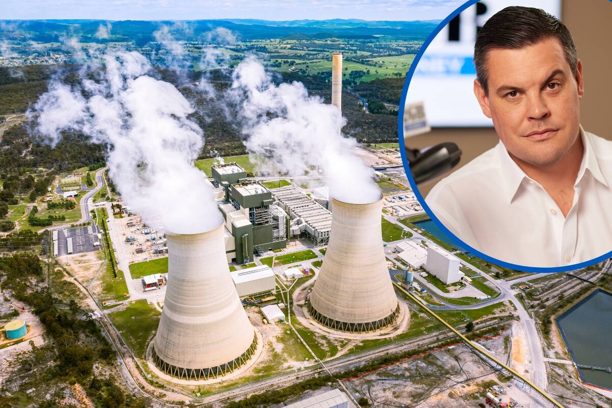 Article image for Chris questions net-zero emissions target amid coal power closures