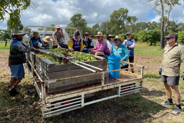 image-supplied-bowen_police_fruit_picking_for_good_cause_2