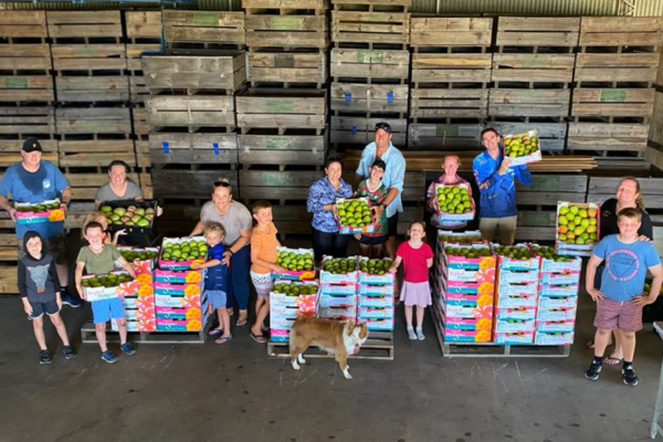 image-supplied-bowen_police_mango_picking_for_good_cause