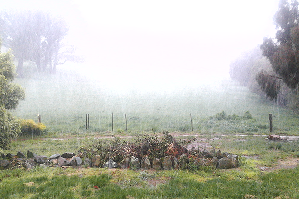 The big freeze hits NSW’s central tablelands